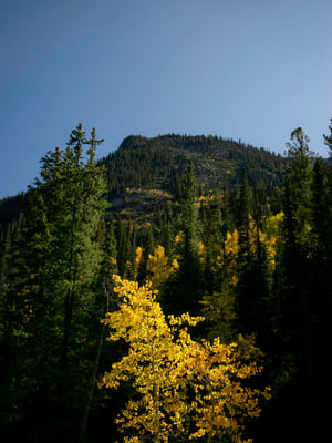 September