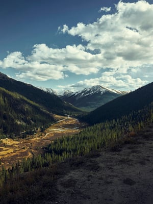 Old Mining Road Trails