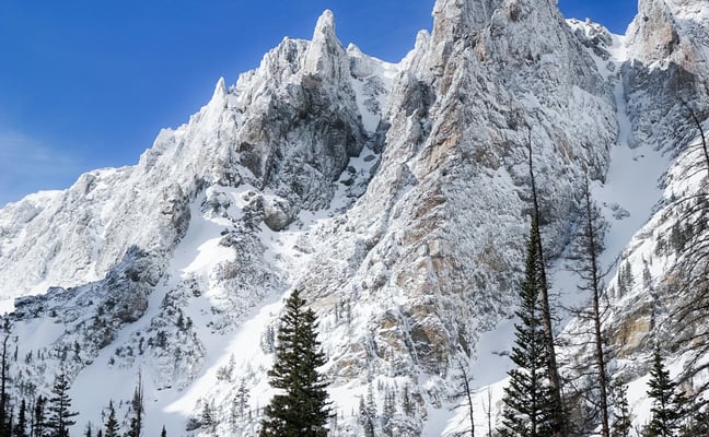 Snow-covered rocky mountain peaks against a deep blue sky with pine trees