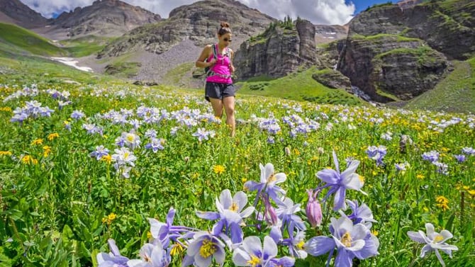 Top 5 Wildflower Hikes in Telluride, Colorado