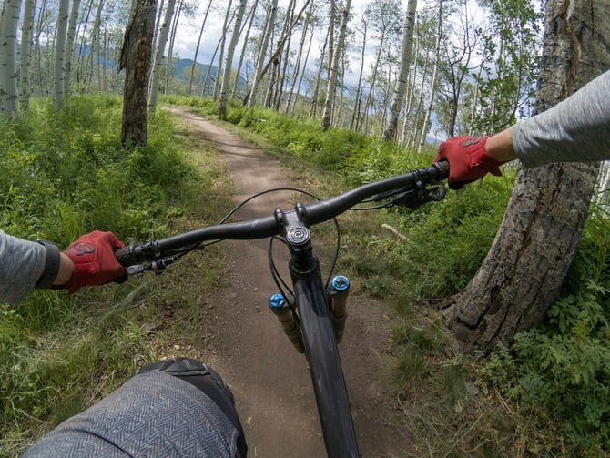 Mountain biker through aspen grove